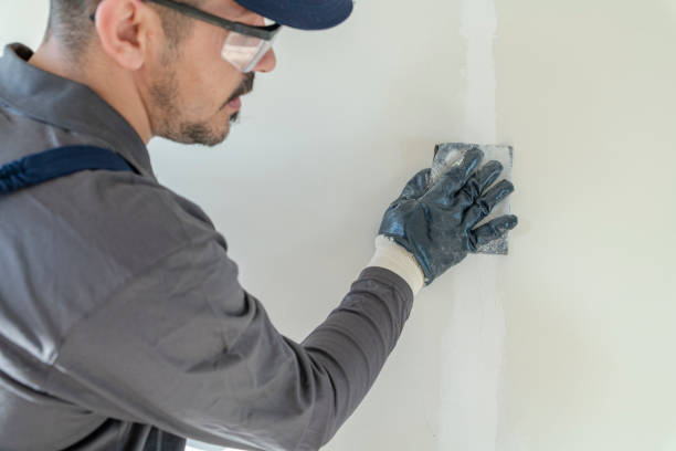 Reliable Corralitos, CA Drywall & Painting Services Solutions